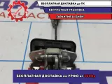 Ограничитель двери задней Renault Logan 2 Stepway .