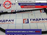 Уплотнитель стекла двери задний правый Renault Logan 2 Stepway 823306177R.