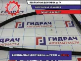 Уплотнитель стекла двери задний левый Renault Logan 2 Stepway 823314662R.