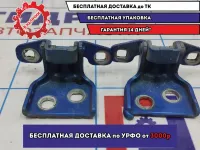 Петля двери передней левой Renault Logan 2 Stepway 6001546883. Комплект.