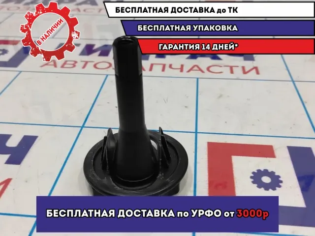 Болт крепления запасного колеса Renault Logan 2 Stepway 7703041034.