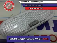 Плафон салонный Renault Logan 2 Stepway 8200074362.