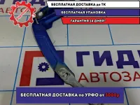 Петля капота левая Renault Logan 2 Stepway 654013159R.