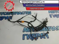 Проводка двери задней левой Kia Rio 3 916504Y030.