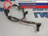 Датчик ABS задний правый Kia Rio 3 956811R000