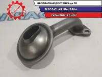 Маслозаборник Kia Rio 3 262502B000