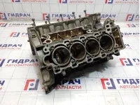 Блок двигателя Land Rover Range Rover Sport (L320) LR028148