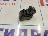 Кнопка стеклоподъемника Ravon R2 95015361.