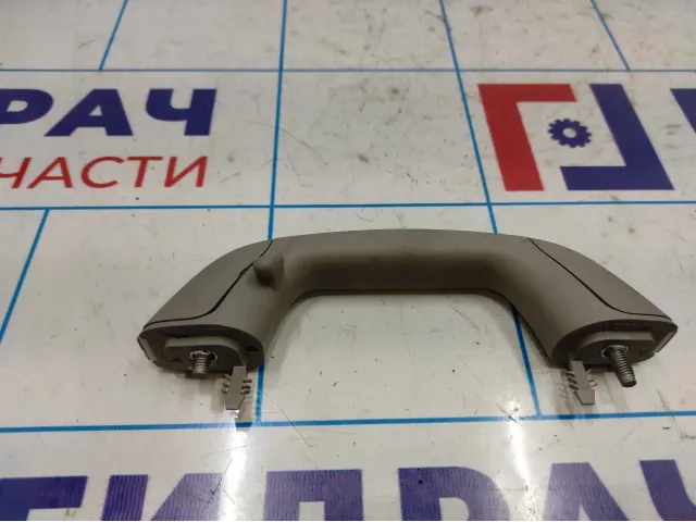 Ручка внутренняя потолочная Ravon R2 95981357.