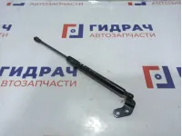 Амортизатор двери багажника правый Ravon R2 95962016.