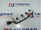 Проводка топливных форсунок Ravon R2 95400093.