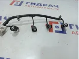 Проводка топливных форсунок Ravon R2 95400093.