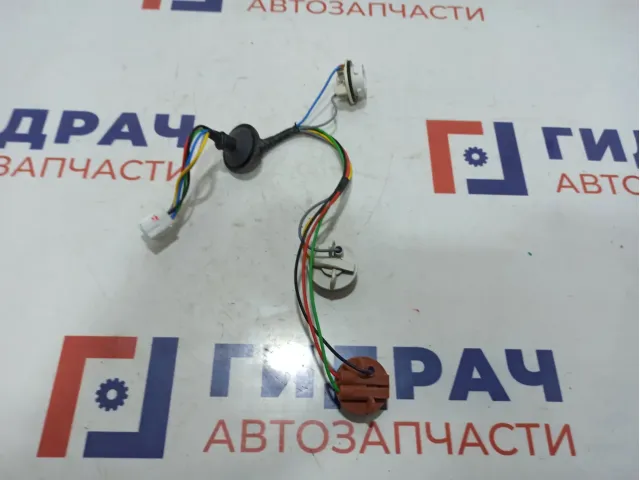 Проводка заднего правого фонаря Ravon R2 95186828.