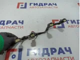 Проводка (коса) Ravon R2 95400096. На катушки зажигания.