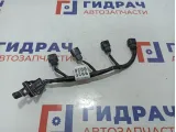 Проводка (коса) Ravon R2 95400096. На катушки зажигания.