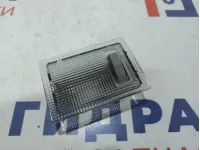 Плафон салонный Ravon R2 13126729.