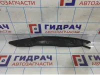 Пыльник крыла переднего левого Ravon R2 94571376.