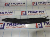 Пыльник крыла переднего левого Ravon R2 94571376.