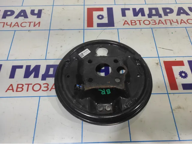 Щит опорный задний правый Ravon R2 42421323.