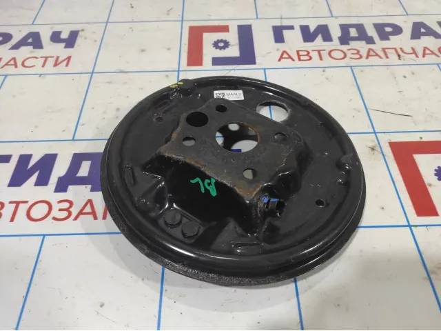 Щит опорный задний левый Ravon R2 42421322.