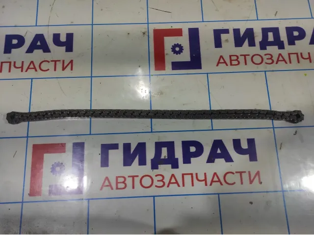 Цепь ГРМ Ravon R2 25190533.