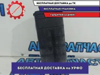 Абсорбер Renault Logan 2 149507892R.