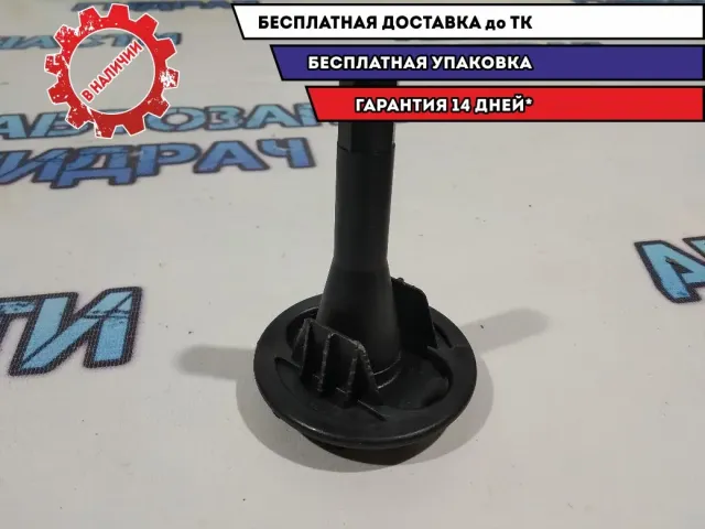 Болт крепления запасного Renault Logan 2 7703041034.