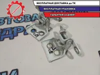 Петли двери задней левой Renault Logan 2.