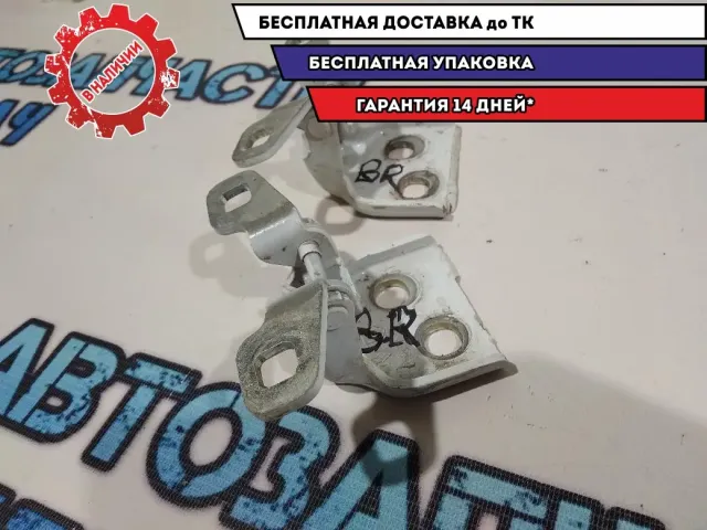 Петли двери задней правой Renault Logan 2.