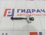 Ограничитель двери левый Renault Arkana 804301078R