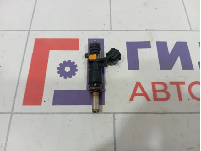 Форсунка инжекторная электрическая Renault Arkana 166008992R