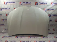 Капот Renault Arkana