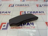 Обшивка стойки задней левой нижняя Renault Arkana 769354105R