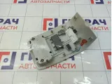 Плафон салонный Renault Arkana 264302900R