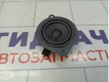 Динамик Renault Arkana 514863076