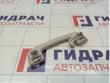 Ручка внутренняя потолочная Renault Arkana