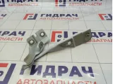 Петля капота левая Renault Arkana 645012365R