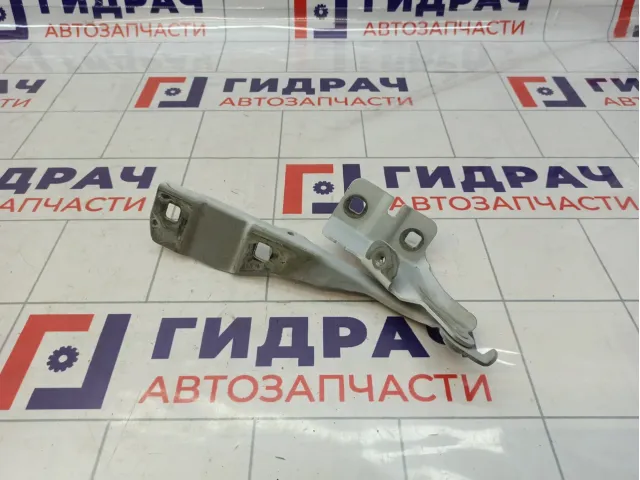 Петля капота правая Renault Arkana 645005096R