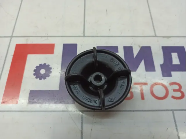 Гайка крепления запасного колеса Renault Arkana 849800001R