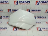 Накладка заднего бампера левая Renault Arkana 850178785R