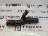 Патрубок воздушного фильтра Renault Kaptur 165780388R