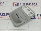 Плафон салонный Renault Kaptur 264300008R