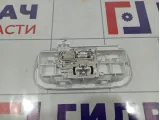 Плафон салонный Renault Kaptur 264300007R