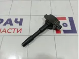 Катушка зажигания Renault Kaptur 224332428R