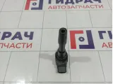 Катушка зажигания Renault Kaptur 224332428R