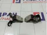 Петли двери передней правой Renault Kaptur