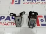 Петли двери задней правой Renault Kaptur
