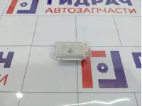 Плафон салонный Renault Duster 8200418356