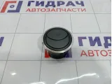 Дефлектор воздушный Renault Duster 687604194R