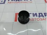 Дефлектор воздушный Renault Duster 687604194R